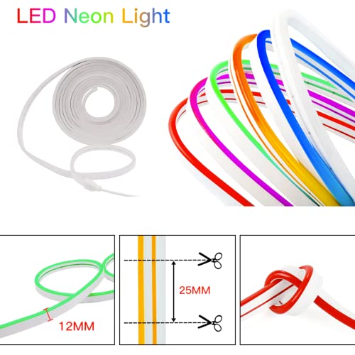 Mangueira 5m Fita Led Neon Corte Flexível 12v + Fonte 5A (Branco Quente)