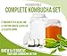 kitchentoolz 1 Gallon Glass Wide Mouth Kombucha Brewing Mason Jar - Home Brewing and Fermenting Kit with Cotton Cloth Filter, Rubber Band and Plastic Lid (1 Jar)