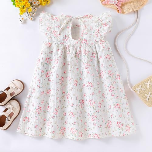 Girls Flutter Sleeve Dress, White with Pink Roses Print Dress, Empire Waist，4-7Y3