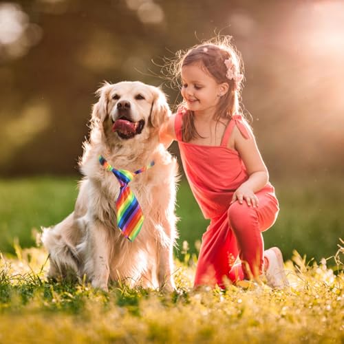 Disfraz mexicano poncho para perro multicolor talla 35.5x28cm miniatura 7