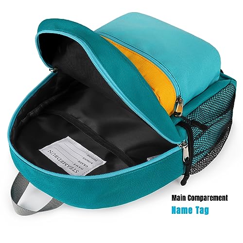 steamedbun toddler backpack for boys 2-4kindergarten backpack for boyspreschool backpackmini