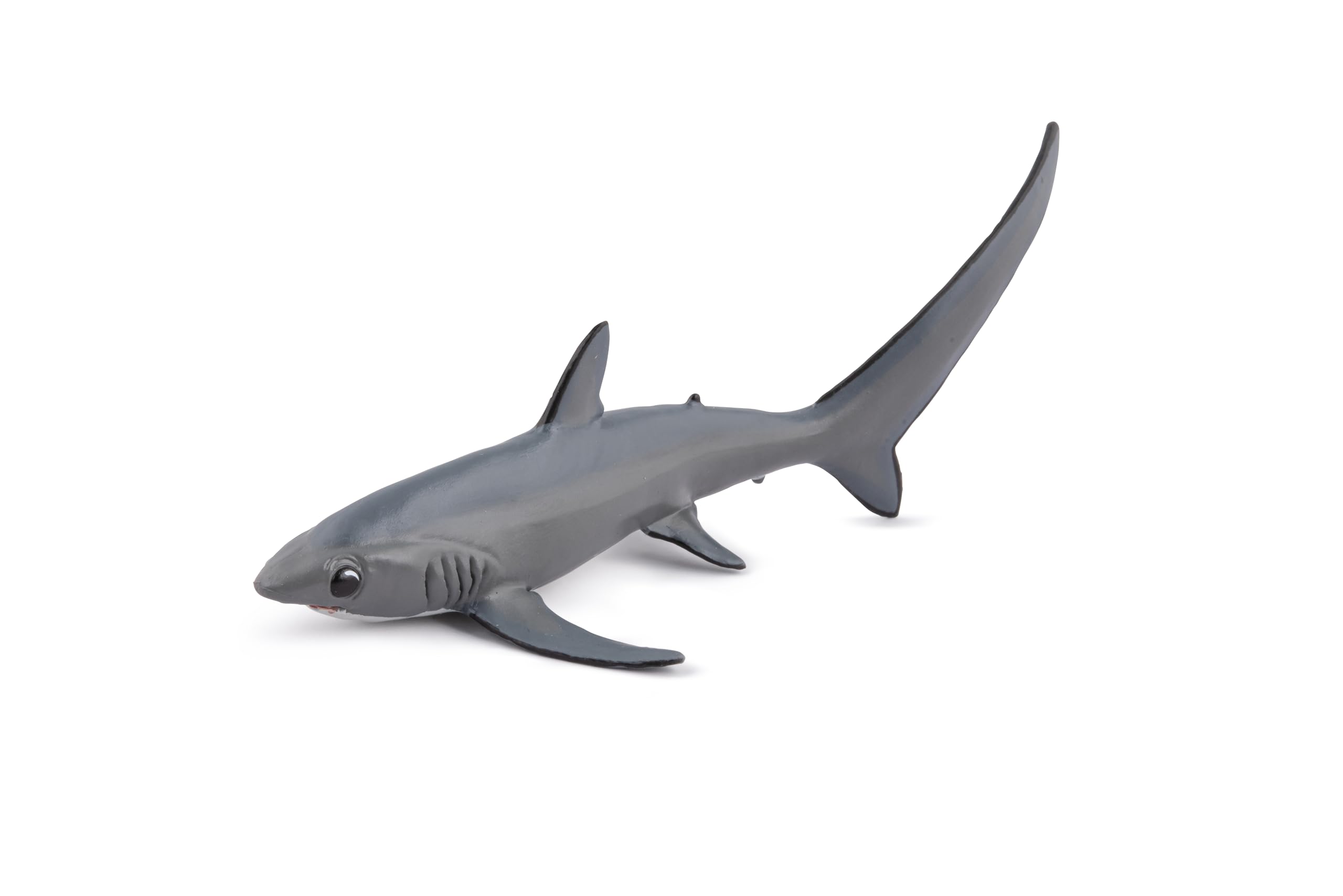 Amazon.com: Papo - Realistic Thresher Shark Figure - Ages 3+