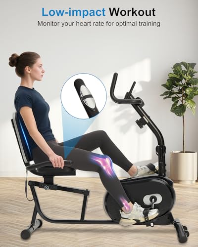 Recumbent Bike with High Back Support