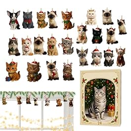 Acrylic Christmas Countdown...