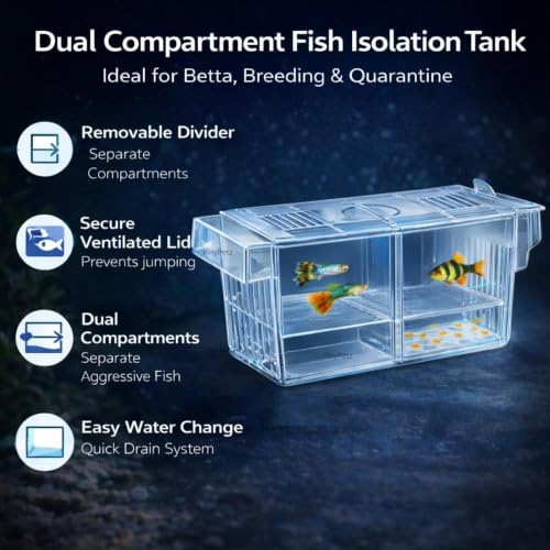 Image of Aquarium Double Isolation Box FH-20 | Fish Breeding & Separation Divider | Fry Hatchery for Betta & Guppy | Acclimation & Recovery Accessory for Fish Tanks