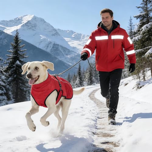 Chaqueta para perros reflectante y abrigo impermeable gris para mascotas medianas 3