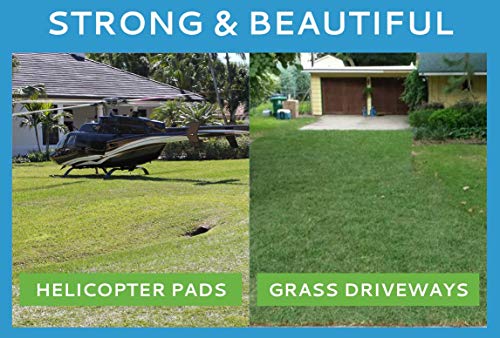 Image of TRUEGRID | Root Grass Pavers | Designed as Outdoor Pavers for the Patio, Driveway, Walkways, Shed Bases, DIY Projects | 120,000 lb Load Class | Pack of 18 (72 Sq. Ft.)