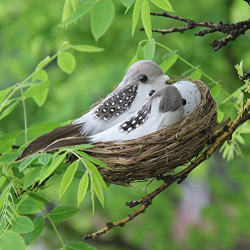 Amosfun 8 Peças de Kit de Ninho de Pássaro Artificial Com Ninho de Galho Artificial Pássaros de Pena