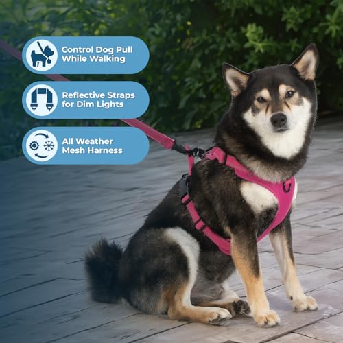 Image of Voyager Dog Harness Dual Leash Attachment No-Pull Control Adjustable Soft but Strong Pet Harness for Medium and Large Dogs with 3M Reflective Technology, Leash Set Fuchsia Nylon, S (Chest: 16-20 inch)