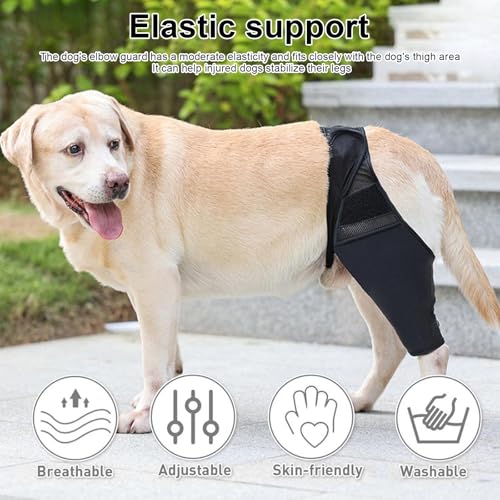 Shwdsy Gummi Verband Hund, Verstellbar Leckschutz Hund Hinterbein, Schwarz Hundebeinschutz, zur Stützung und zum Schutz der Vorder- und Hinterbeine von Hunden