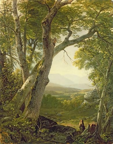 Affiche et gravures de paysage New York Shandaken Ridge impression sur toile de salon 60x90