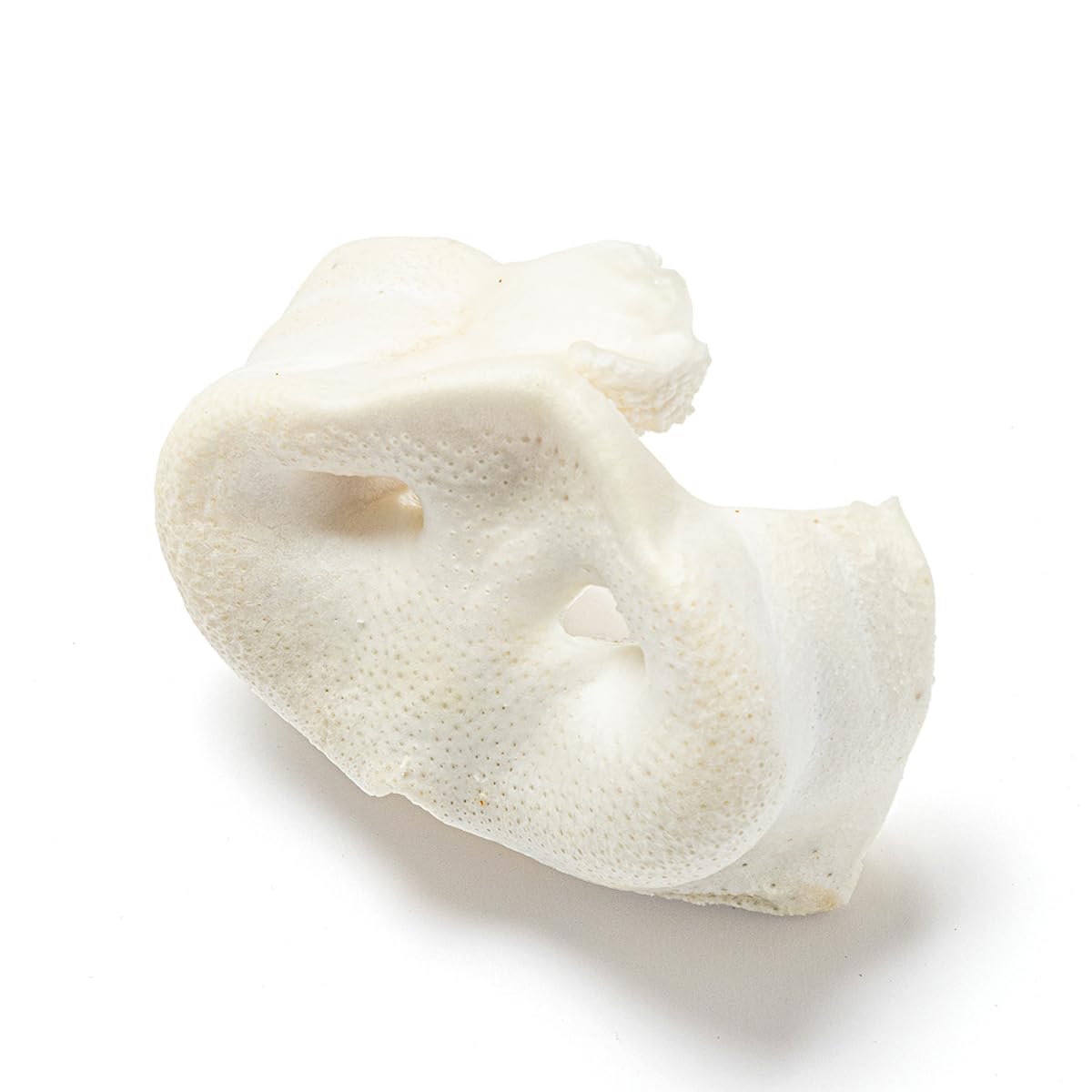 Natural Treats Large Puffed Pig Snouts (10pcs) Air Dried High Protein Tasty & Healthy Dog Treats
