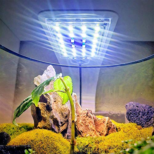 Image of 10W Super Slim Aquarium Fish Tank 5730 LED Light Clip-on Lamp Aquatic Plant Lighting (White Body White+Blue Light)