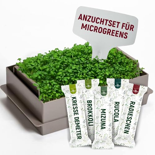 ORAGARDEN Sprouts Propagation Set with 5 Organic Varieties - Broccoli, Arugula, Mizuna, Radishes, Cress - Microgreens Germination Tray Starter Set - Propagation Tray with Cress Sieve