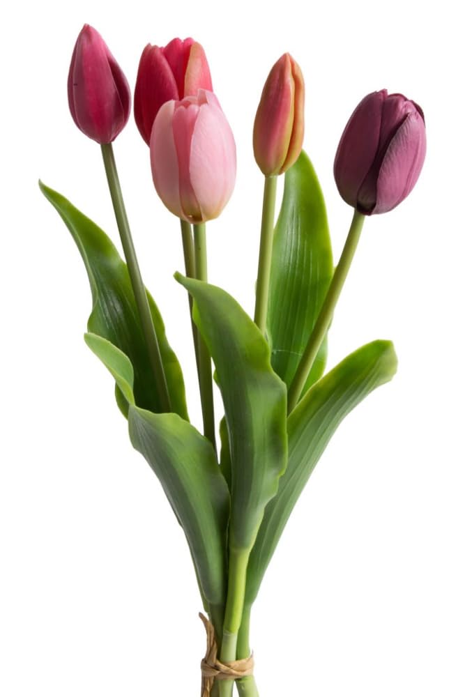 Botanic-Haus künstliches Tulpenbündel Holland mit 3 Tulpen und 2 Tulpenknospen Farbe: pink-Beauty-aubergine real Touch