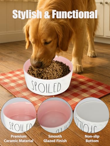 WoofinPets Keramik-Hundenapf, 15,2 cm, kleiner Futternapf, robust, rutschfest, für mittelgroße Hunde, lebensmittelechtes Porzellan, mikrowellen- und spülmaschinenfest, Rosa