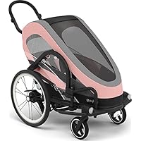 Cybex 2-in-1 