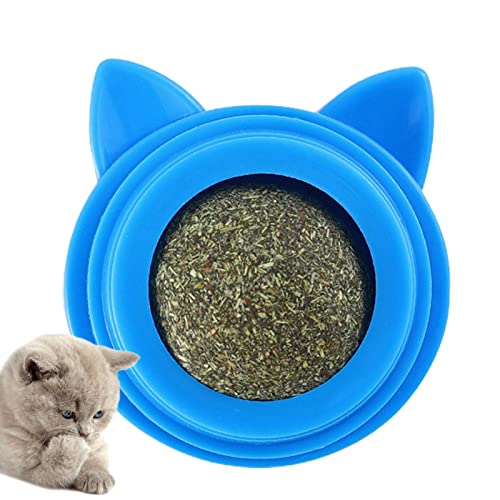 Brinquedo Comestível Catnip,Durável e seguro Magic Catnip Roller Ball Toy - Brinquedo de bola de cat