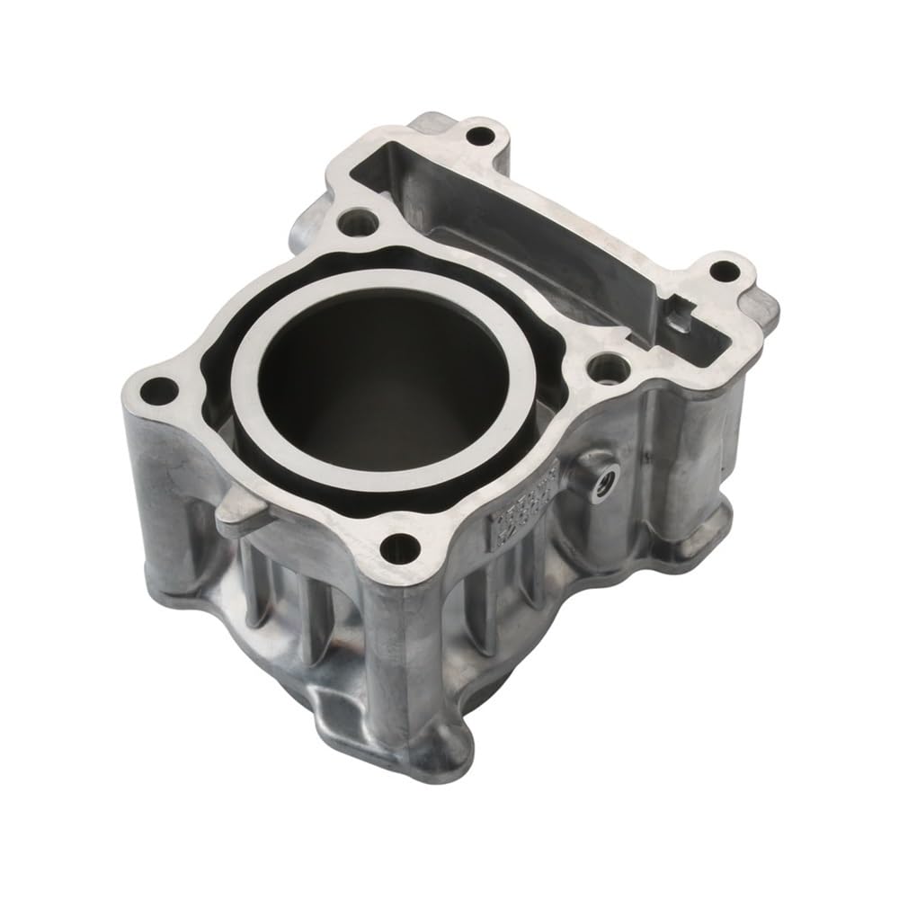 Kit Cilindro XC155 Compatibile con Scooter YMAHA Xenter 150 Force SMAX155 XC155 52S-E1311-00 Modello 4T