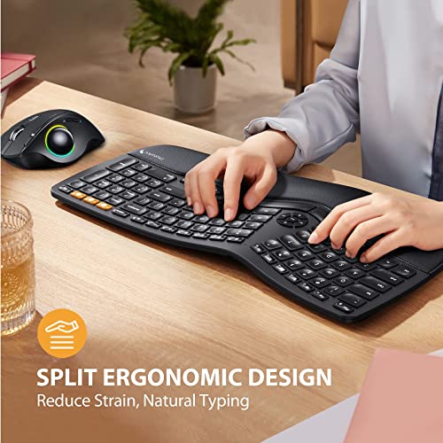 Protoarc Backlit Wireless Ergonomic Keyboard, Ek01 Bluetooth Ergo Split Keyboard With Wrist Rest, Natural Typing, Multi-Device, Rechargeable, Windows/Mac/Android #TOP1