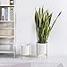 Kimisty 8 Inch Ceramic Planter with Stand, Zoe Mid Century Modern Pot with Gold Iron Metal Plant Stand, Large Indoor Tall Floor Tree, Snake Plant, Aloe Planter, with Drainage and a Plug