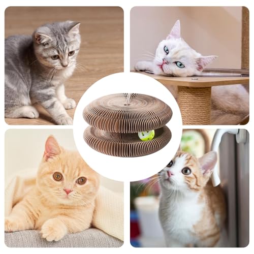 Planche à gratter pour chat interactive et magnétique pour l'exercice