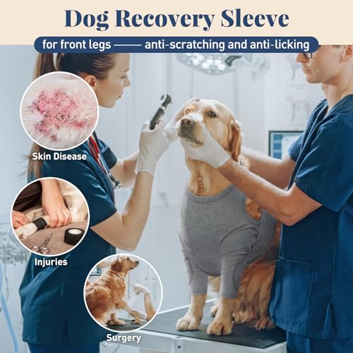 IECOii Hundebody Nach Op,Atmungsaktiv Bandage Hund Vorderbein,HundOp Body mit Beinen Ellbogenschutz Hund Vorderbeine Ärmel für Hunde Schutzanzug Body für Hunde Baumwolle Verstellbar,Grau,3XL