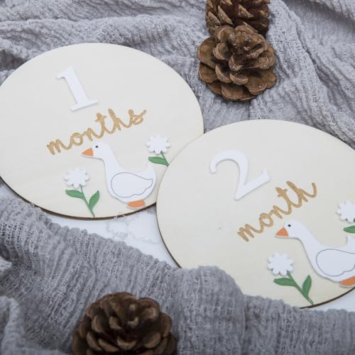 Image of Goose Monthly Milestone Cards - Wooden Discs & 3D Baby Monthly Milestone Signs for Baby Shower & Announcement