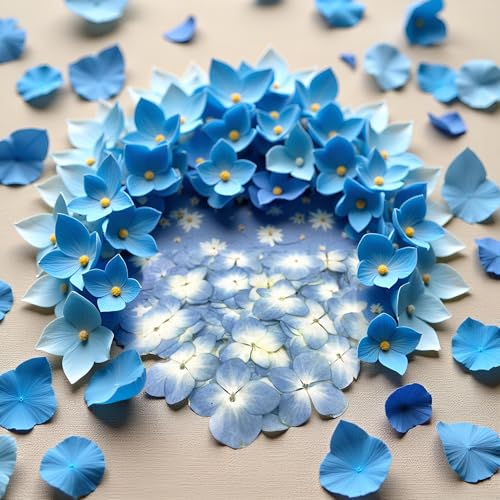 Flores secas preservadas azules, pack 12 piezas miniatura 6