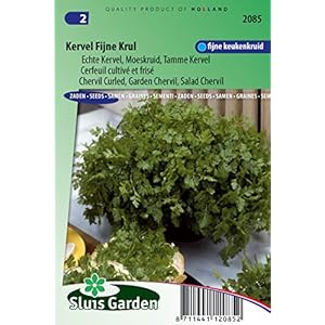 Kervel gekruld, Salade Chervil, Fijne Krul – Kruid Seeds