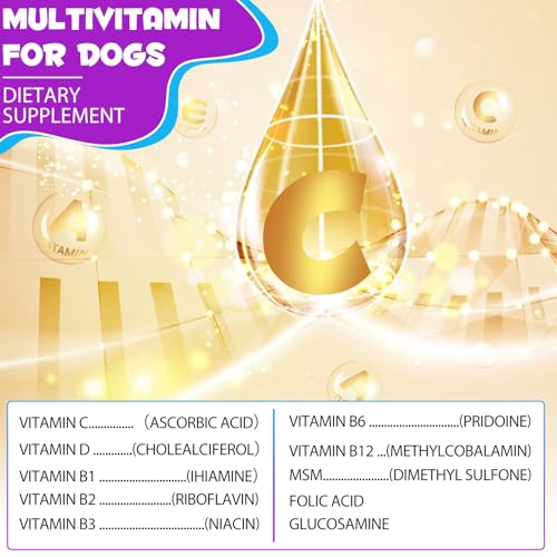 15-in-1-Multivitamintropfen für Hunde, Vitamine und Nahrungsergänzungsmittel für Hunde, natürliche Multivitamine und Mineralien– Glucosamin, MSM Hüfte und Gelenke, Immunsystem