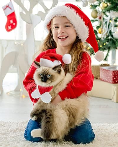 Cat Dog Christmas Outfit Costume:Cat Christmas Outfit, Christmas Pet Clothes Cute Santa Claus Dog Cat Christmas Costumes Cat Dress up Christmas with Santa Hat, Cloak Scarf for Cat Kitten Dog Puppy