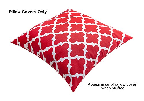 TreeWool (2 Pezzi Trellis Accent Decorativi Fodere...