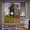 SUNTEC Climatiseur Mobile Reversible TRANSFORM 12.000 Eco R290, 6 en 1 : Indoor/Outdoor Refroidissement, Chauffage, ventilateur, Déshumidificateur 12000 BTU/h
