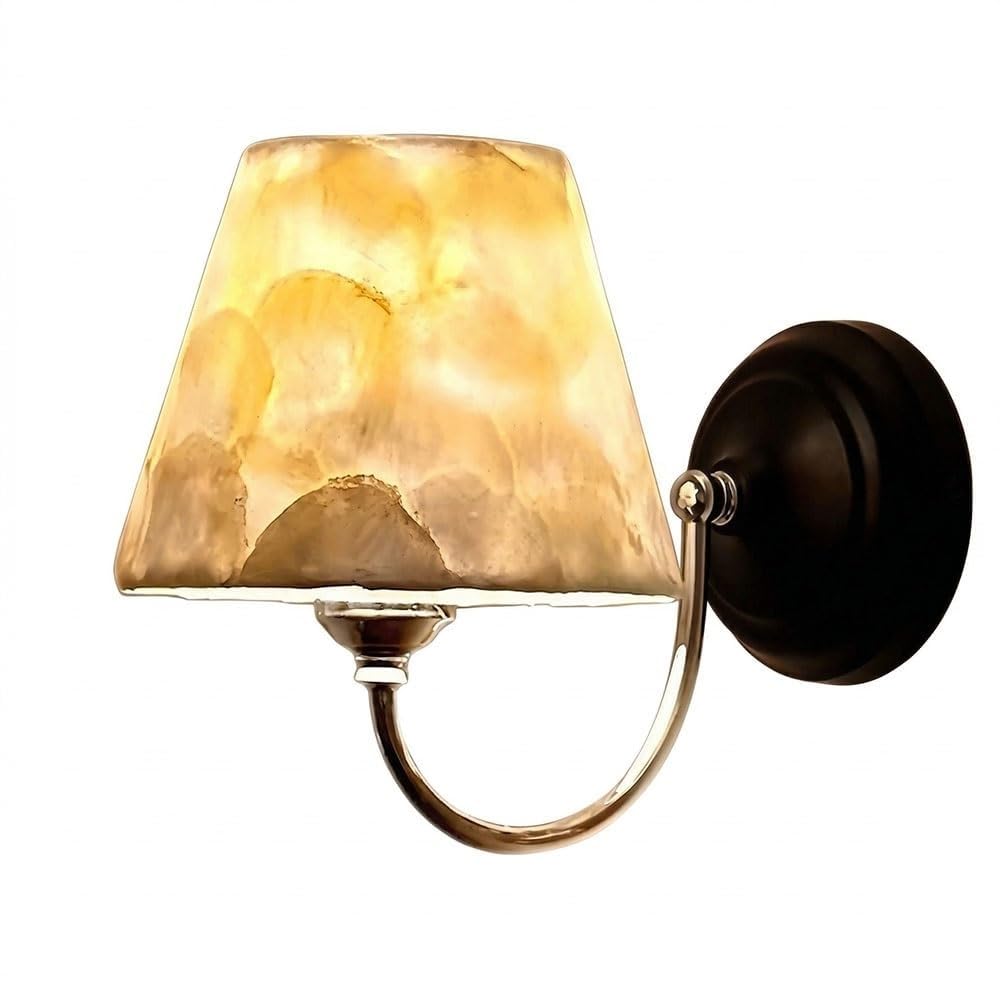 LUOYAOB Modern Shell Wall Sconce Mother of Pearl Wall Light with Brushed Nickel Arm Coastal Wall Mounted Light Fixture for Bedroom Living Room Bar Counter Hallway Decorative Lighting