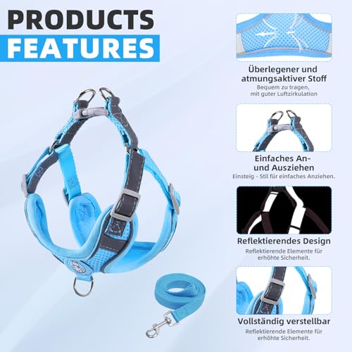 Hundegeschirr mit Hundeleine Set, Air-Mesh Atmungsaktiv Brustgeschirr für Kleine, Mittelgroße Hunde & Welpen, Weich Gepolstert Einstellbar Reflektierend Geschirr (Blau, S)