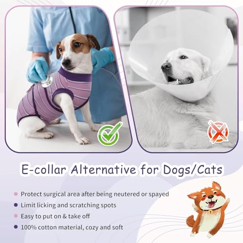 Image of Kuoser Dog Surgery Recovery Suit, Soft Breathable Dog Recovery Suit for Female Spay Male Nueuter, Anti Licking Puppy Onesie Pet Surgical Suit for Dogs Abdominal Wounds Skin Disease, Purple Strips 2XL