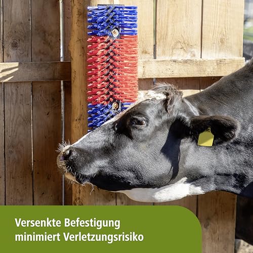 Kuhbürste Kerbl 293100 Halbrunde Kratzbürste für Tiere im Stall