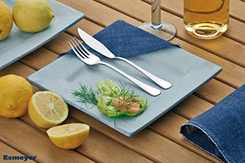 Set Cuchillos Pescado 12 Piezas Acero Inoxidable miniatura 4