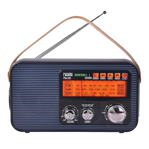 Image of PAGARIA 3 Band FM /AM /SW DSP Portable Radio with 5 Watts, Torch, Bluetooth, USB /TF, Earphone, Aux, Model: PG-181
