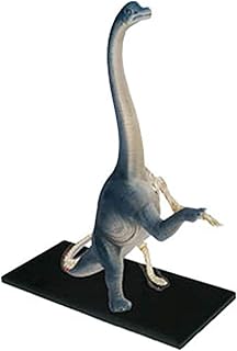 Study Model Medical Animal Model - Brachiosaurus Anatomical Model - Detachable 42 Organs Body Parts Medical Teaching Model-Anatomy Biological Puzzle Assembling Toy SaiFei