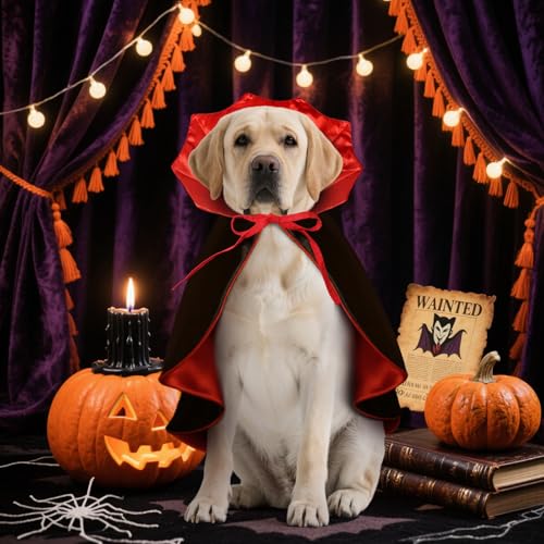 Cape para perros disfraz vampiro Halloween negro miniatura 7