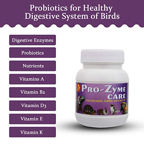 Image of Pet Care International (PCI) Pro-Zyme Care || Probiotics with Digestive Enzymes for Healthy Digestive System || Designed for Reptiles, Hamster, Marmoset, Iguana, Geko, Dwarf, Gerbil || 100grm