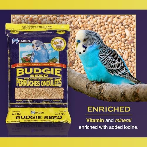 Parakeet/Budgie Staple Vme Seed, 6-Pound - 1