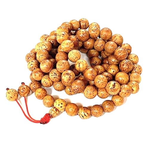 Bodhi Mala Necklace - Buddhist Tibetan 108 Prayer Beads for Meditation from Bodh Gaya India