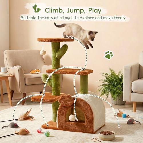 Árbol de gato cactus para interiores 27.5 pulgadas miniatura 4