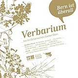 guy krneta basel  Verbarium. Bern ist überall