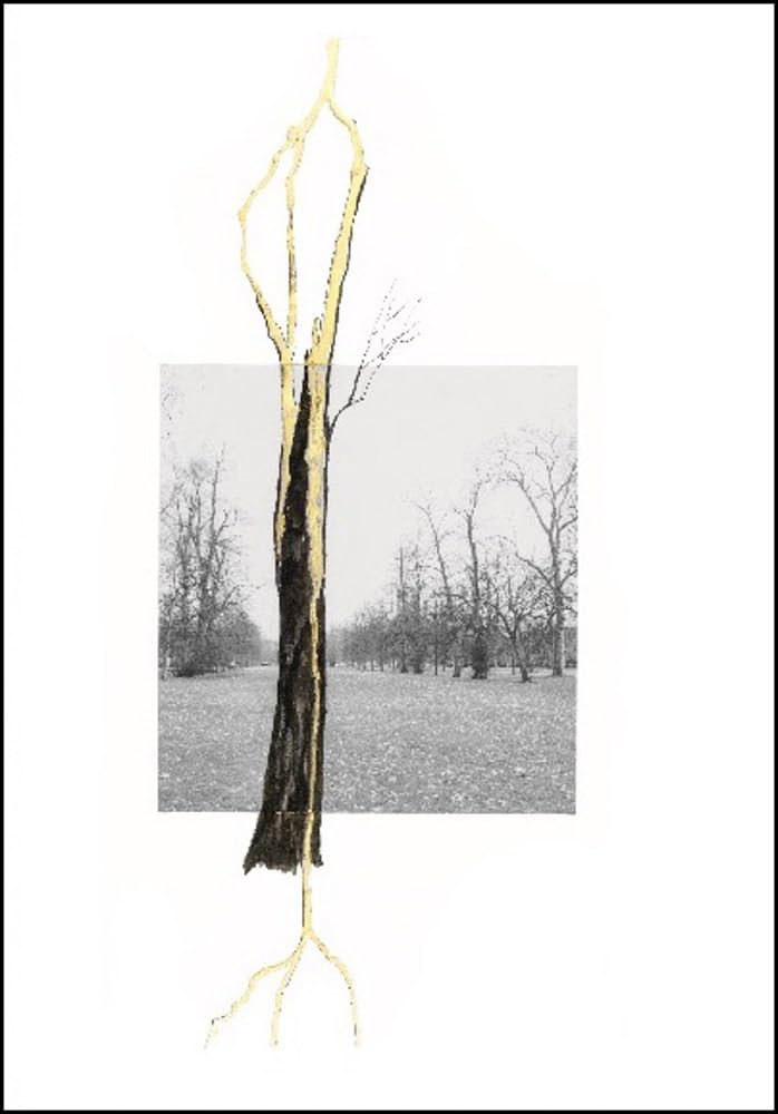 Giuseppe Penone Thoughts in the Roots /anglais: Serpentine Gallery, London