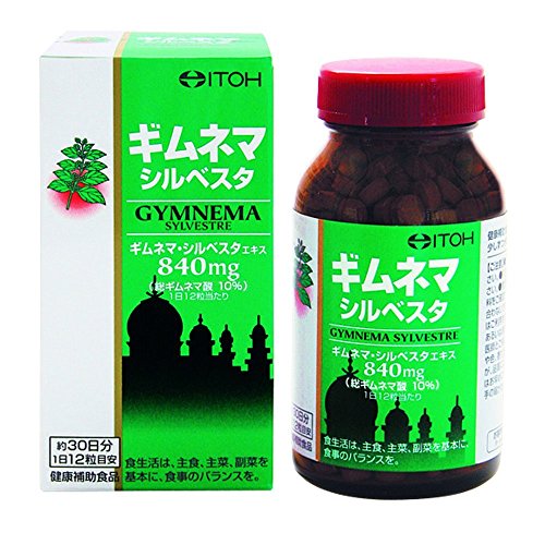 井藤 ギムネマシルベスタ