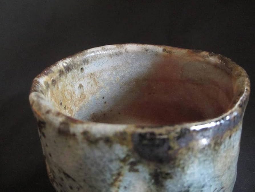 Amazon.co.jp: 源九郎窯 加藤健 灰被 鼠志野 茶碗（共箱） : ホーム 